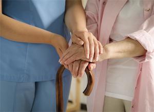 Developing a senior-specific training program, rolling it out to care facilities